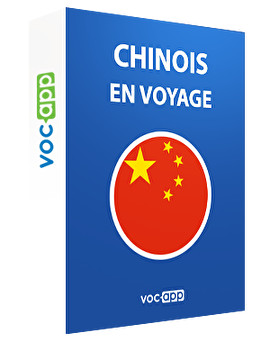 Chinois en voyage