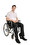 le fauteuil roulant