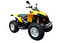 ride a quad bike inglés