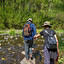 hiking Englisch