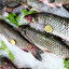 karp allemand