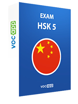 HSK 5 exam