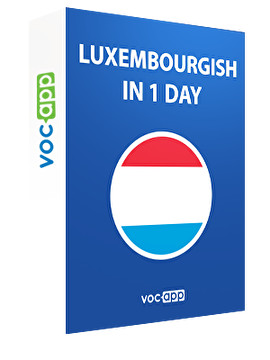 Luxembourgish in 1 day