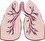 os pulmões