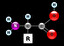 budowa aminokwasu(4) in Polish