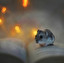 hamster Spagnolo