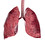 lungene