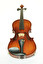 violin in English