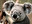 test-test