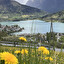 Ale widok Norvegese
