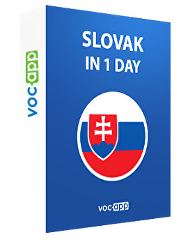 Slovak in 1 day