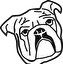 buldog inglés