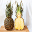 ananas in English