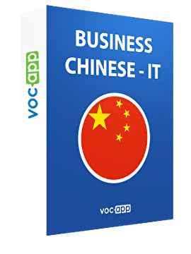 Business Chinese - IT