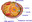 Cell Organelles