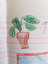 plant in English