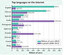 Look at the graph. What does it tell you in English