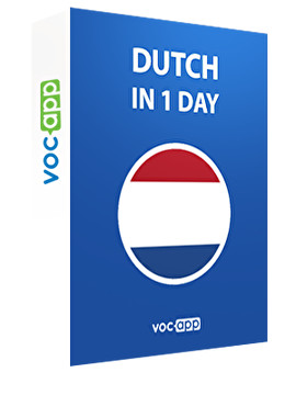 Dutch in 1 day