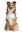 Test tworzenia zestawow