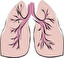 lung in inglese