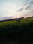 tożsamość in English