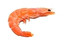 prawn in inglese