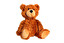 teddy bear in English