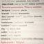czcionka in English