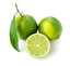 lime in inglese