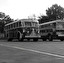 piętrowy bus in inglese