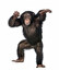 szympans Englisch
