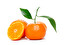 tangerine in English