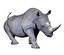 rhino in inglese