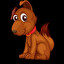 dog Portoghese