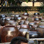 pottering around. pottery Anglais
