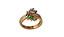 ring in inglese