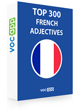 French Words: Top 300 Adjectives