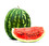 vodový melón