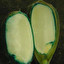 Ziarna aleuronowe in polacco