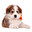 test 1