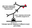 Jak wygląda schemat metody immunocytoflu ポーランド語で