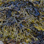 seaweed in English