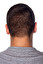 hairdoo Anglais
