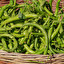 broad beans Englisch