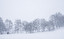 snø, snør, snødde, har snødd in Norwegian