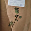 jasnota purpurowa (lamium purpureum) in polacco